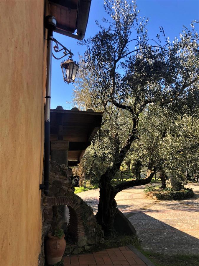 Casale L'Antica Mola Villa Castel Madama Екстериор снимка