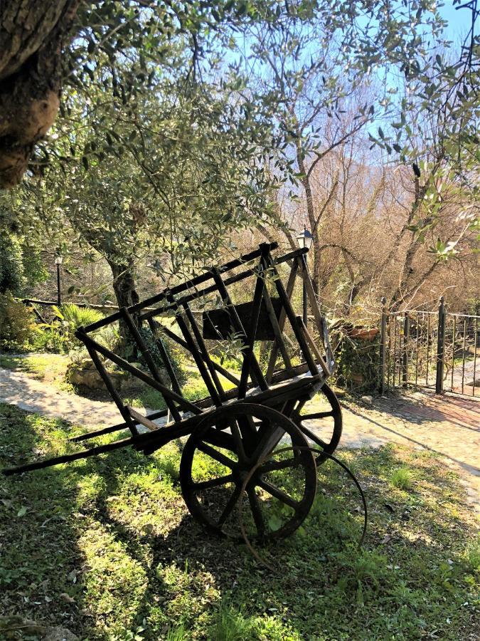 Casale L'Antica Mola Villa Castel Madama Екстериор снимка