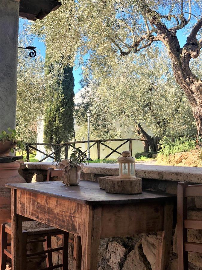 Casale L'Antica Mola Villa Castel Madama Екстериор снимка