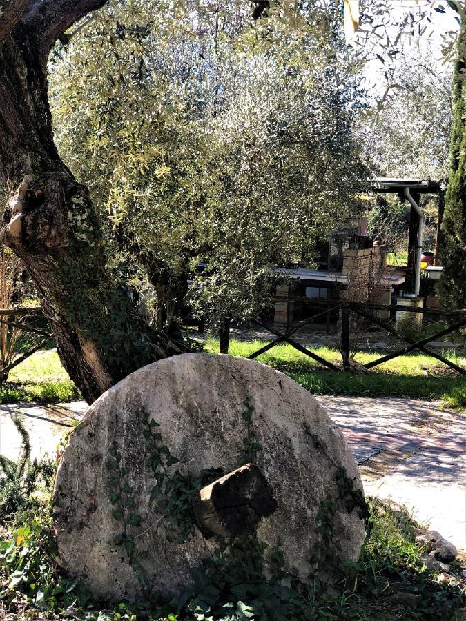Casale L'Antica Mola Villa Castel Madama Екстериор снимка