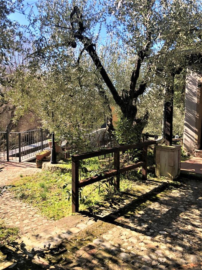 Casale L'Antica Mola Villa Castel Madama Екстериор снимка